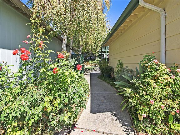 4th image of 256 Mountain Springs Dr