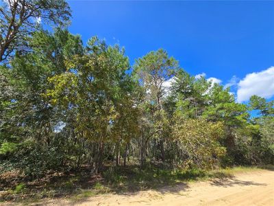 Selma Avenue Lot #27, Interlachen, FL, 32148