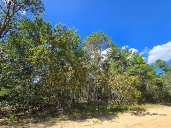 Selma Avenue Lot #27, Interlachen, FL 32148