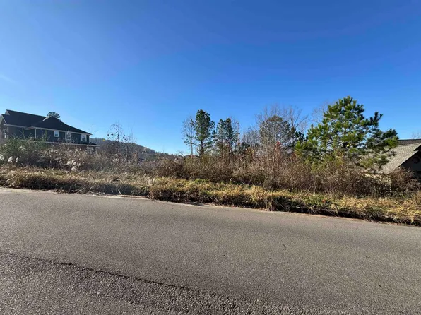 6422 Cambridge Rd, Pinson, AL 35126