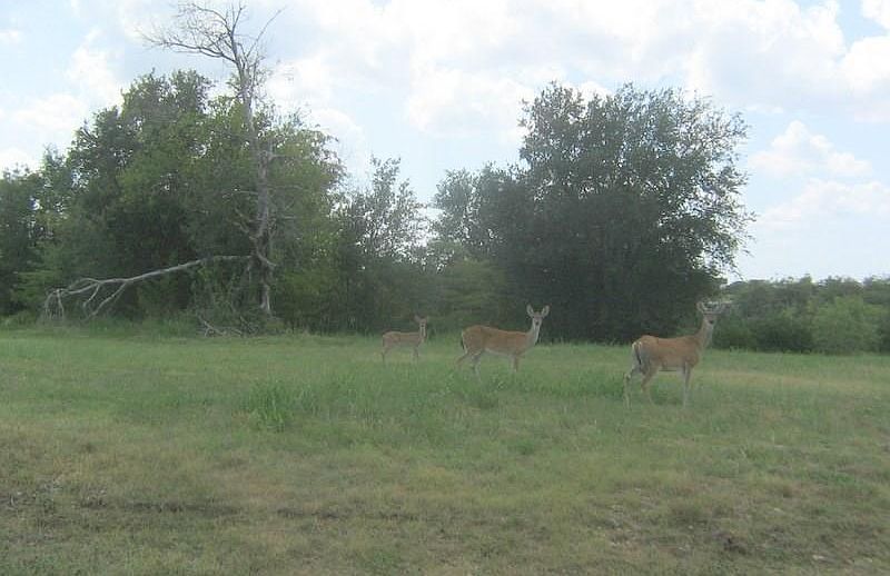 1st image of 21036 Shady Oak Ct Lot 36