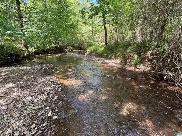 498 Blackwood Rd, Parrish, AL 35580