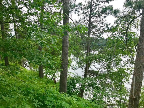 4th image of 38284 Ox Lake Landing