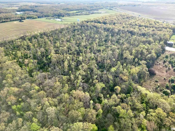 0 Bailey Rd, Salem, IL 62881