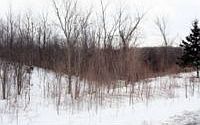 1st image of 3028 Andora Dr
