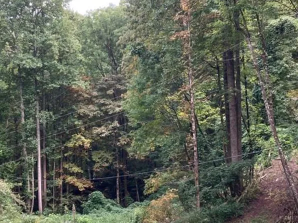 0 Laurel Dr Lot 12, Whittier, NC 28789