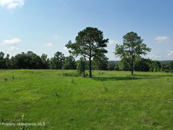 0 Creek Holw, Brooksville, FL 34601