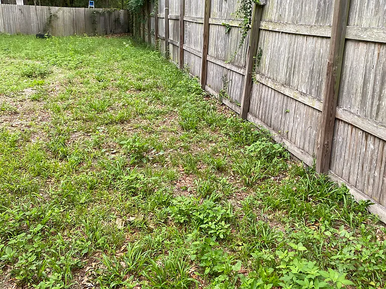 7541 Covewood Dr — Photo 21