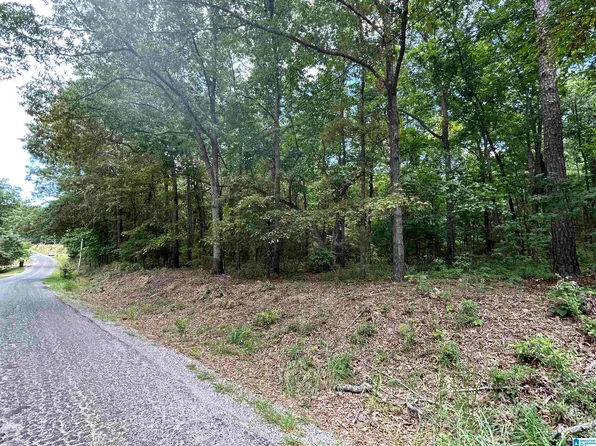 0 N Lakeshore Dr #97, Talladega, AL 35160