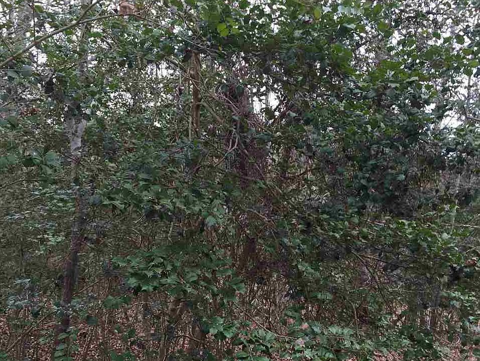 2nd image of 4609 Lizzie Creek Ct