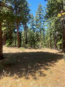 15664 Sherwood Dr, Truckee, CA, 96161