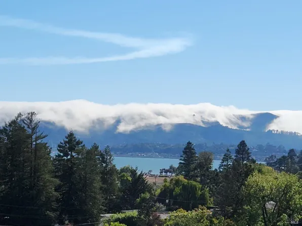 53 Mercury Avenue, Tiburon, CA 94920