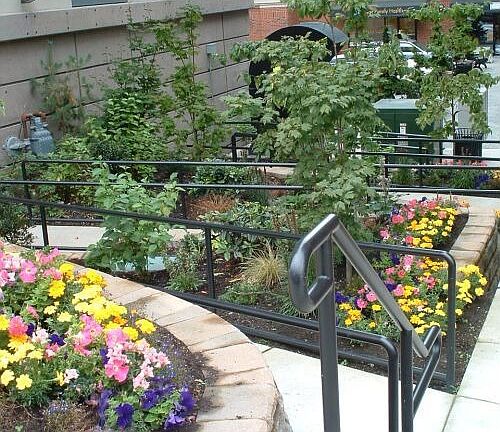 Gardens