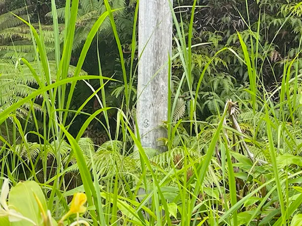 ROAD 3, Volcano, HI 96785