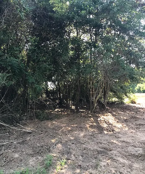 Manuel Rd — Photo 20