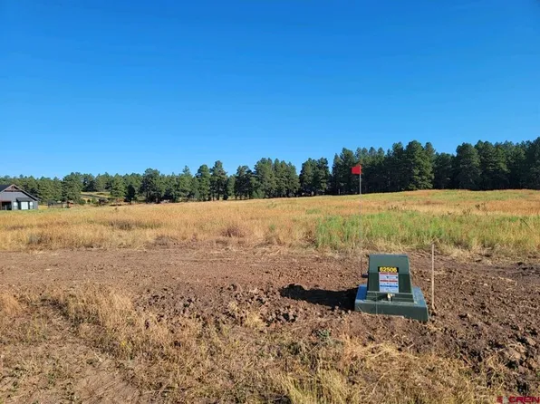 1288 Antelope Avenue, Pagosa Springs, CO 81147
