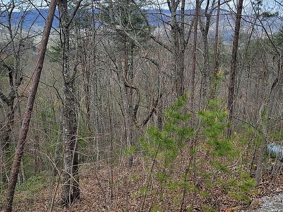5th image of 0 Coopers Hawk Way Lot 46