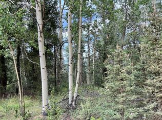 County Road 61, Cripple Creek, CO 80813