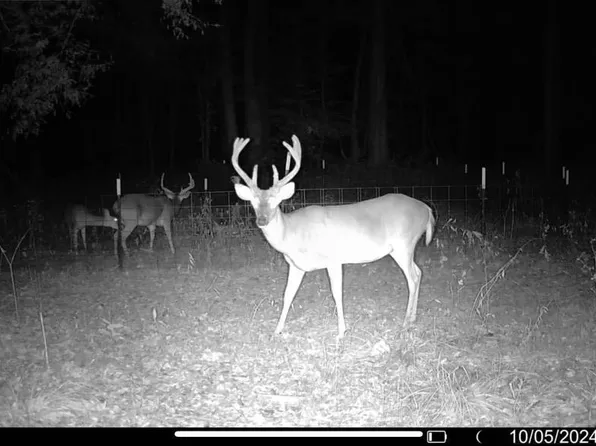 12200 Farrar Davis Rd, Saint Francisville, LA 70775