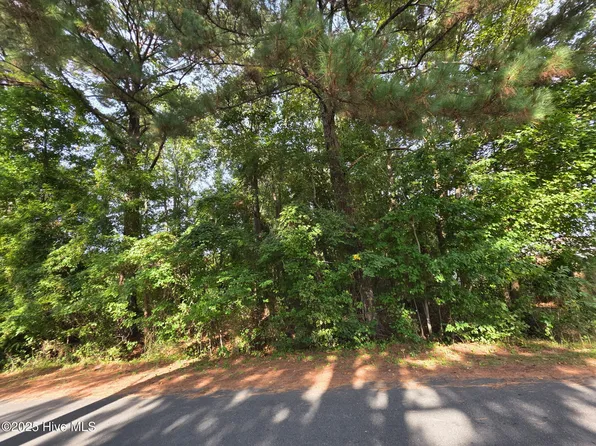 0 Niblick Road, Grifton, NC 28530