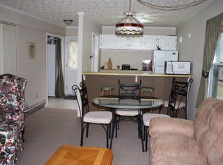 103 Lower Holiday Ln, Banner Elk, NC 28604