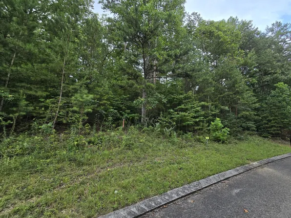 157 Lower Brow Rd, Dunlap, TN 37327