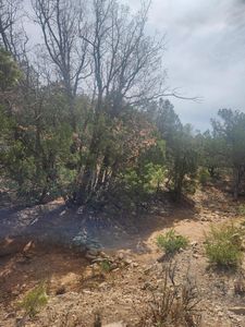 La Madera Rd, Sandia Park, NM, 87047