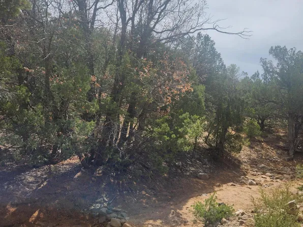La Madera Rd, Sandia Park, NM 87047