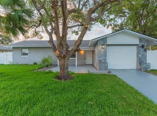 8225 Fishhawk Ave, New Port Richey, FL 34653