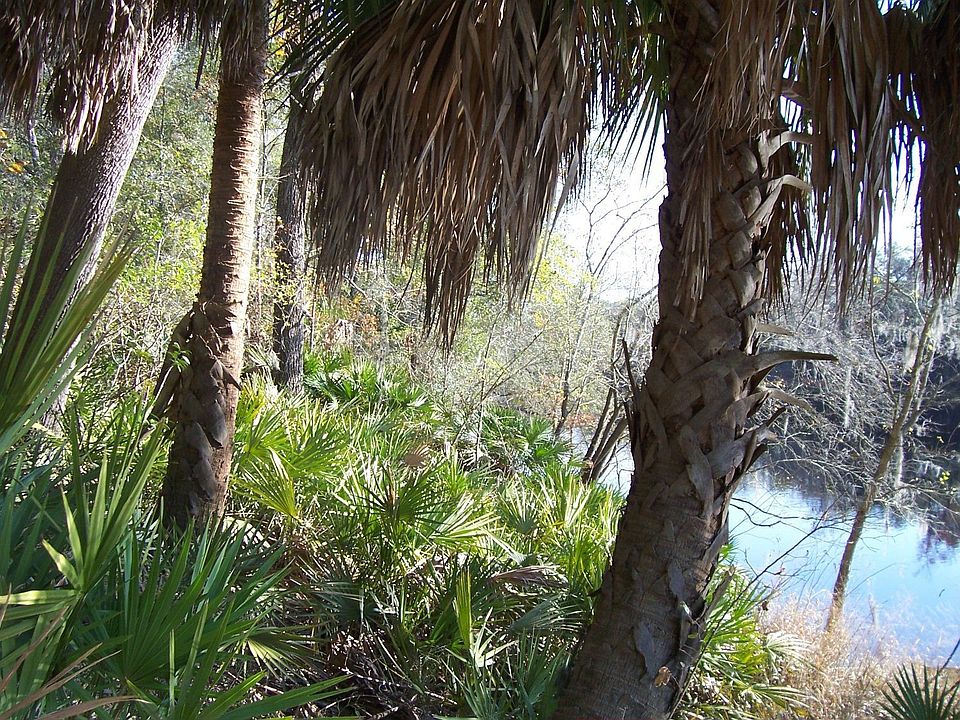 Property fronts on federally protected Suwannee River