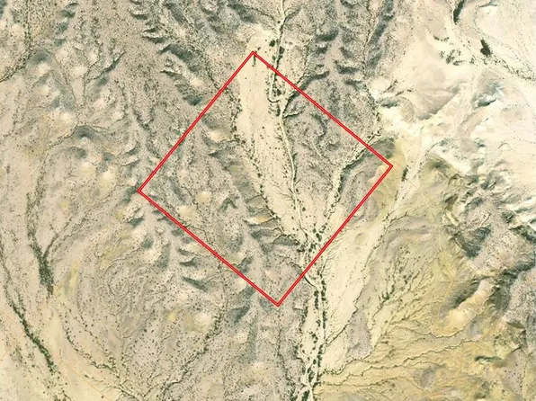 None, Terlingua, TX 79852