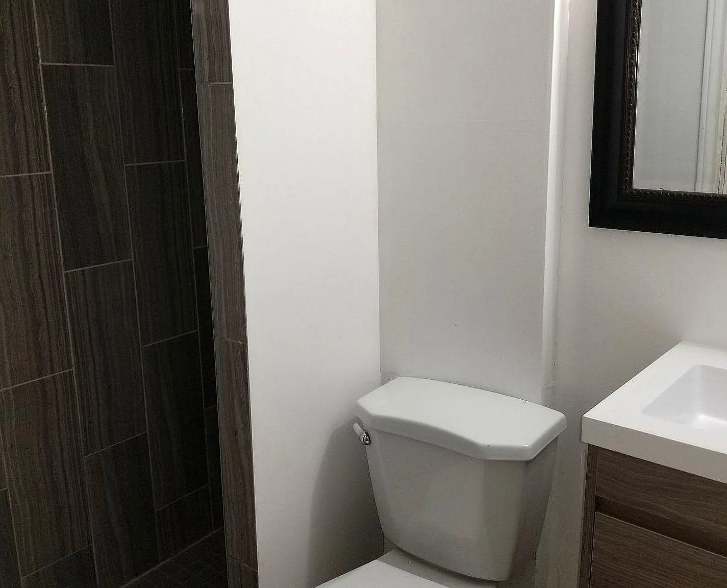 1 bed, $900 — Photo 4