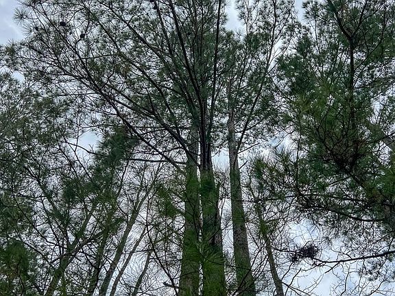 72ac Unionspringsrd 4