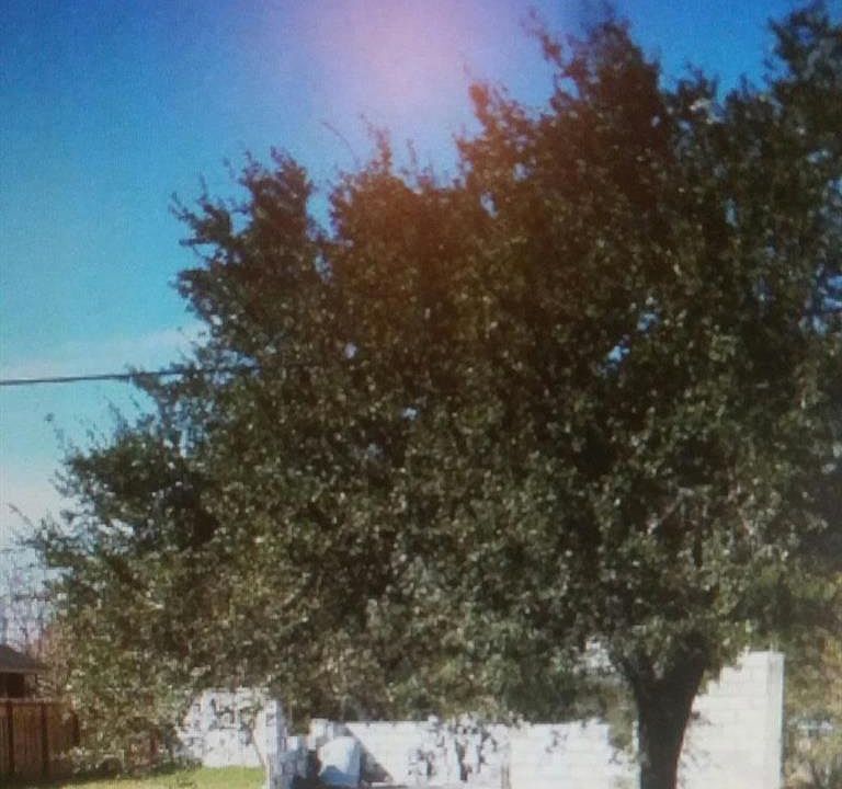 1st image of 1720 W Corpus Christi Dr