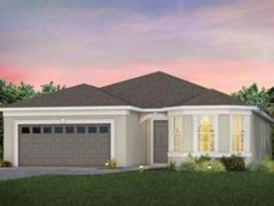 2593 Del Webb Dr, Minneola, FL, 34715