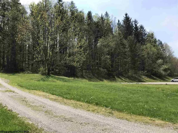 100 Jill Ln, Elkins, WV 26241