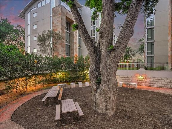 Pecan Tree Gathering Area