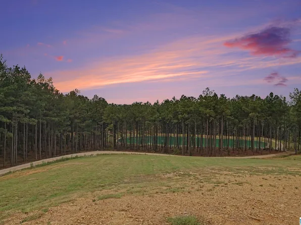 372 Chelsea Farms Ln #20, Chelsea, AL 35043