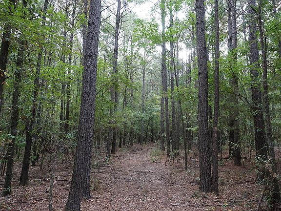 5th image of 23 Little River County Rd