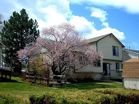 Storage Shed! Flowering Trees!
