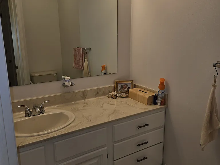 37 Tulip Tree Ln — Photo 10