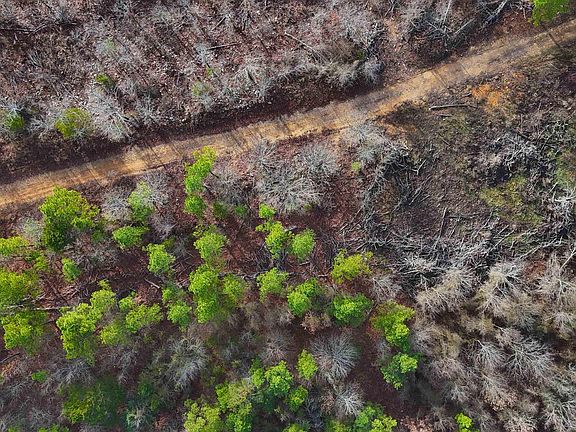 4th image of Broomfield Rd