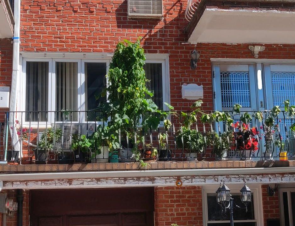 1st image of 2741 Cropsey Ave #1