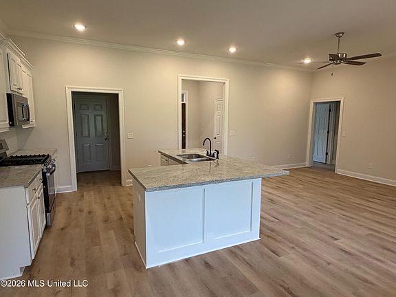 4th image of 541 Patrick Farms Dr