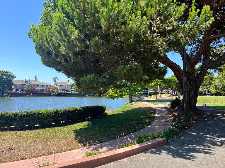 29 Sea Brg — Photo 51