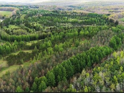 LOT Off Tyrone Pike, Philipsburg, PA, 16866