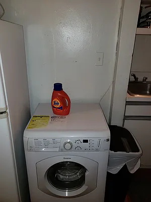 Rented by Michael J Gregg Real Estate | media 13