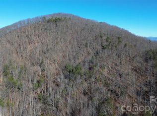 9999 Sealey Ln, Leicester, NC 28748