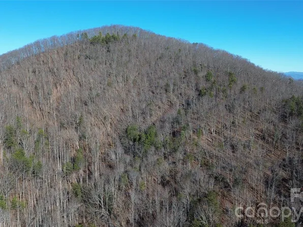 9999 Sealey Ln, Leicester, NC 28748
