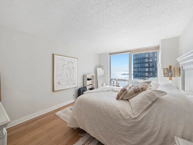 195 N Harbor Dr #1606 — Photo 22